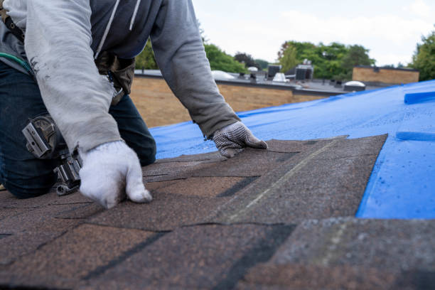 Best Chimney Flashing Repair  in Twin Lakes, CA